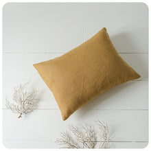 Load image into Gallery viewer, The GASTON Cushion
